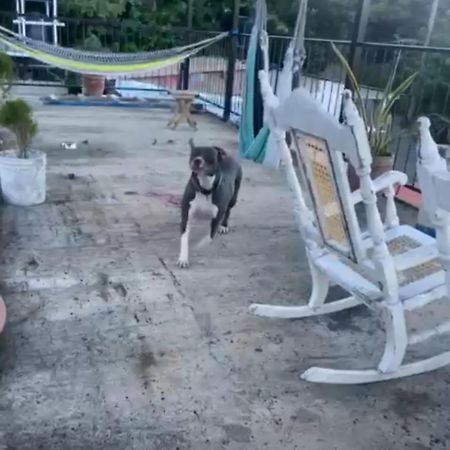Lorena Surf Hostel San Juan del Sur Dış mekan fotoğraf