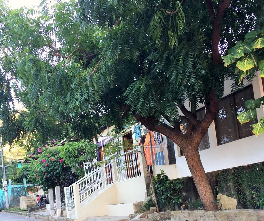 Lorena Surf Hostel San Juan del Sur Dış mekan fotoğraf